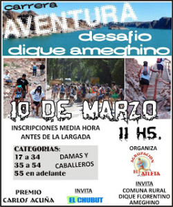 ameghino2013