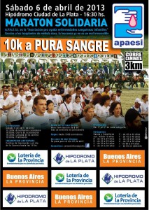 apaesi2013