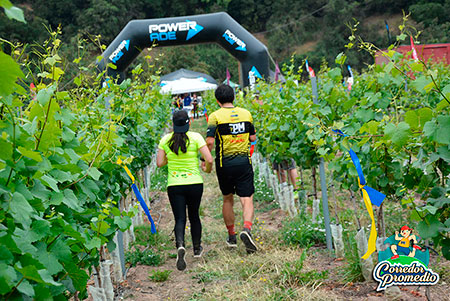 7º Trail Corriendo Entre Viñedos