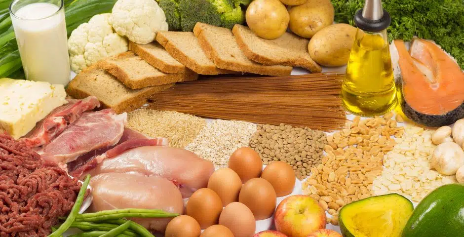 MACRONUTRIENTES alimentación