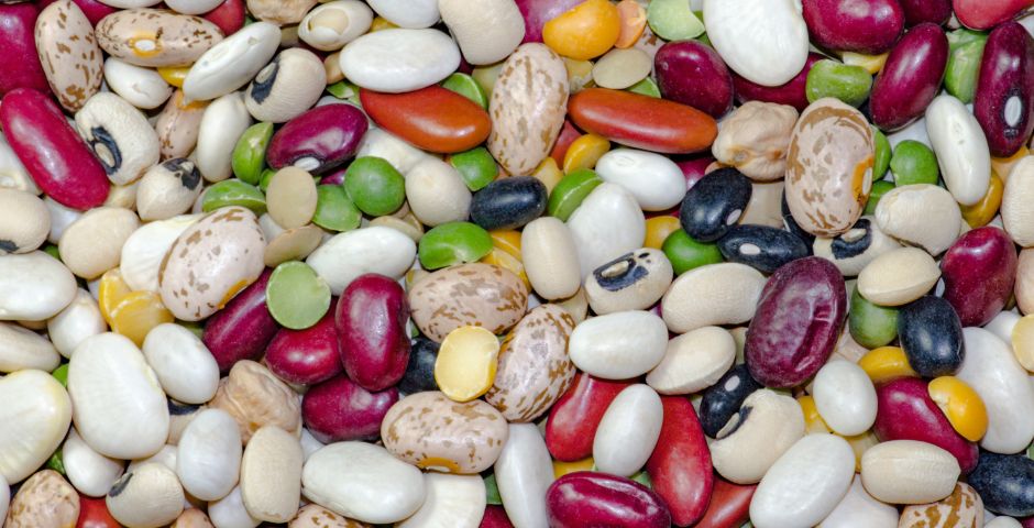 proteínas